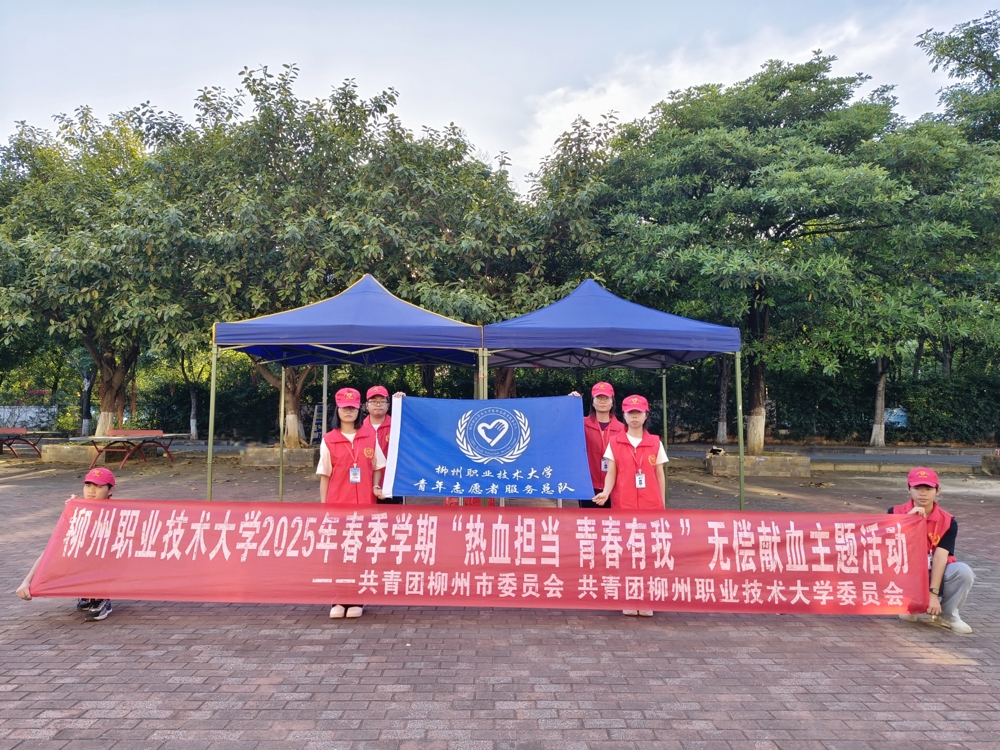 图示, 示意图&#10;&#10;中度可信度描述已自动生成:ver1