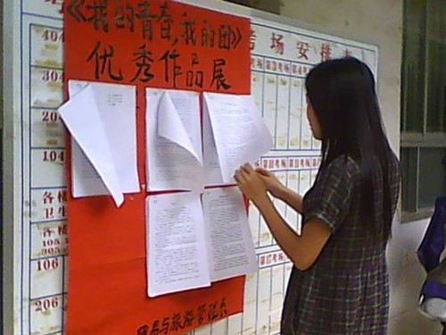 青年学生在认真看“我的青春，我的团”征文比赛作品展