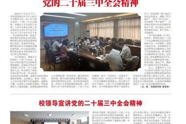 2024年8月报纸