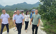 电商助农梨香飘十里，下乡普惠幸福千万家  汇新媒力量，筑梦里高镇 直播电商产业学院为青花梨电商助力