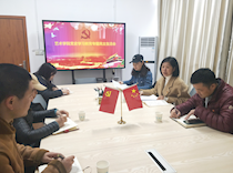 艺术学院党总支部召开党史学习教育专题民主生活会